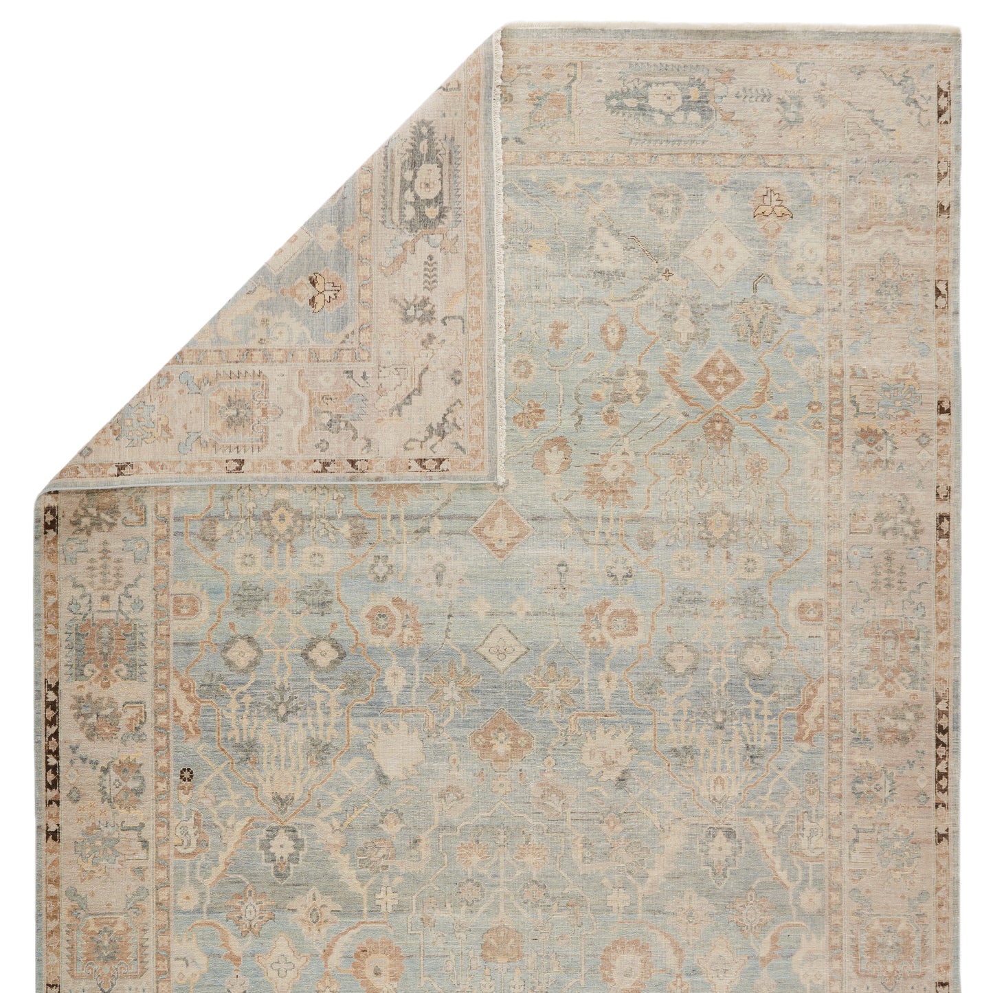 Resonant Light Blue/ Beige Area Rug