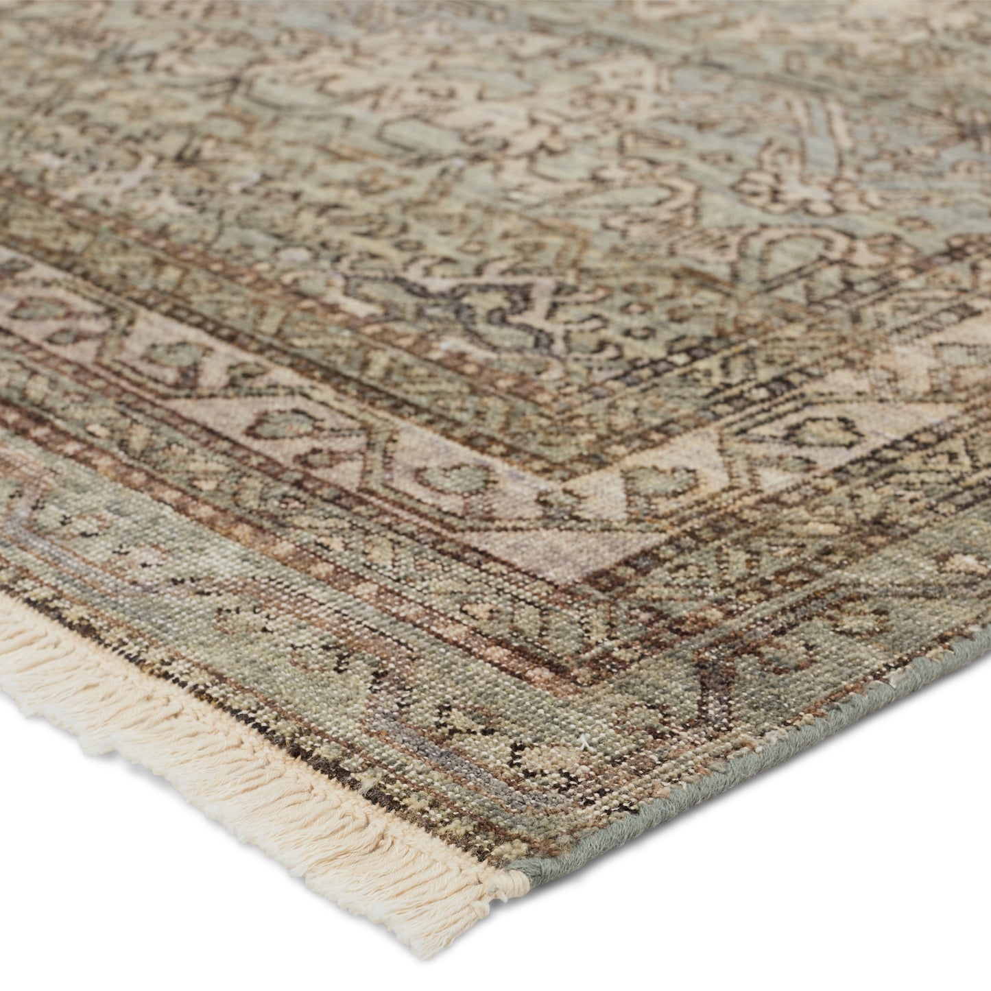 Rosita Trellis Brown/ Green Area Rug