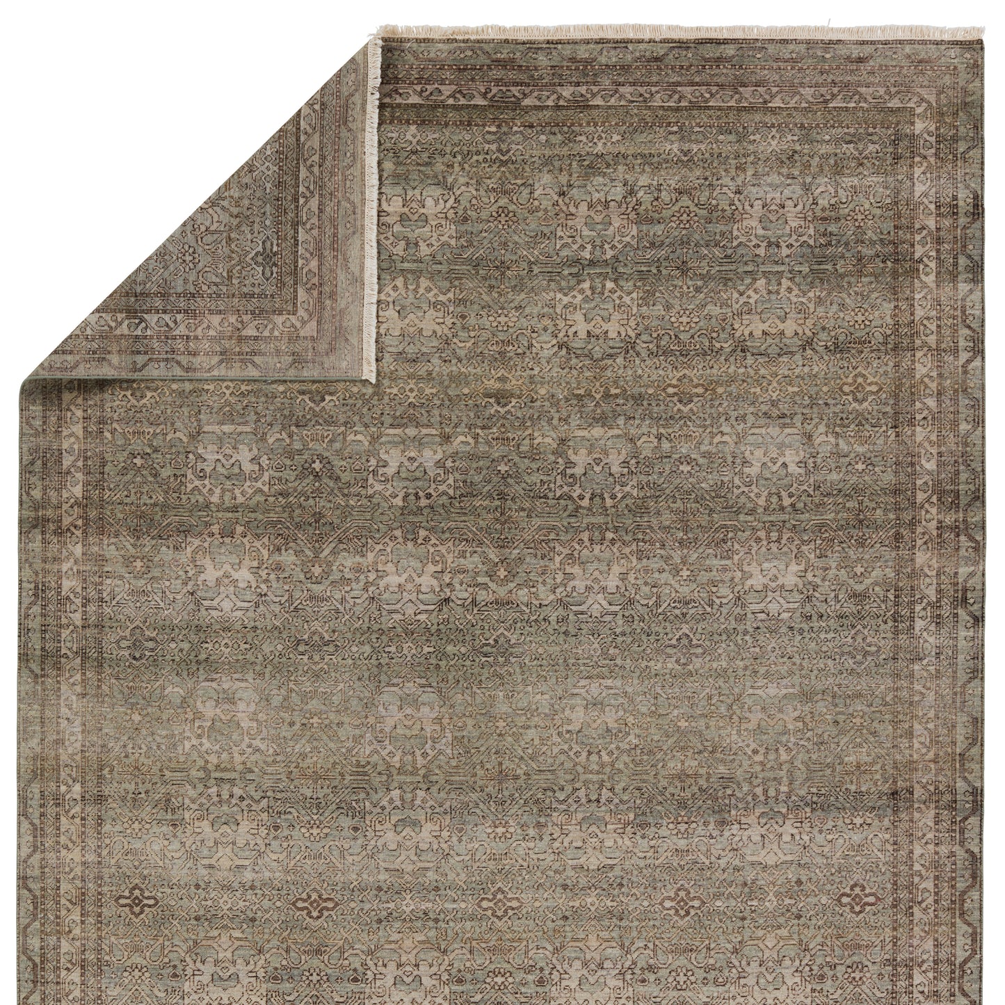 Rosita Trellis Brown/ Green Area Rug