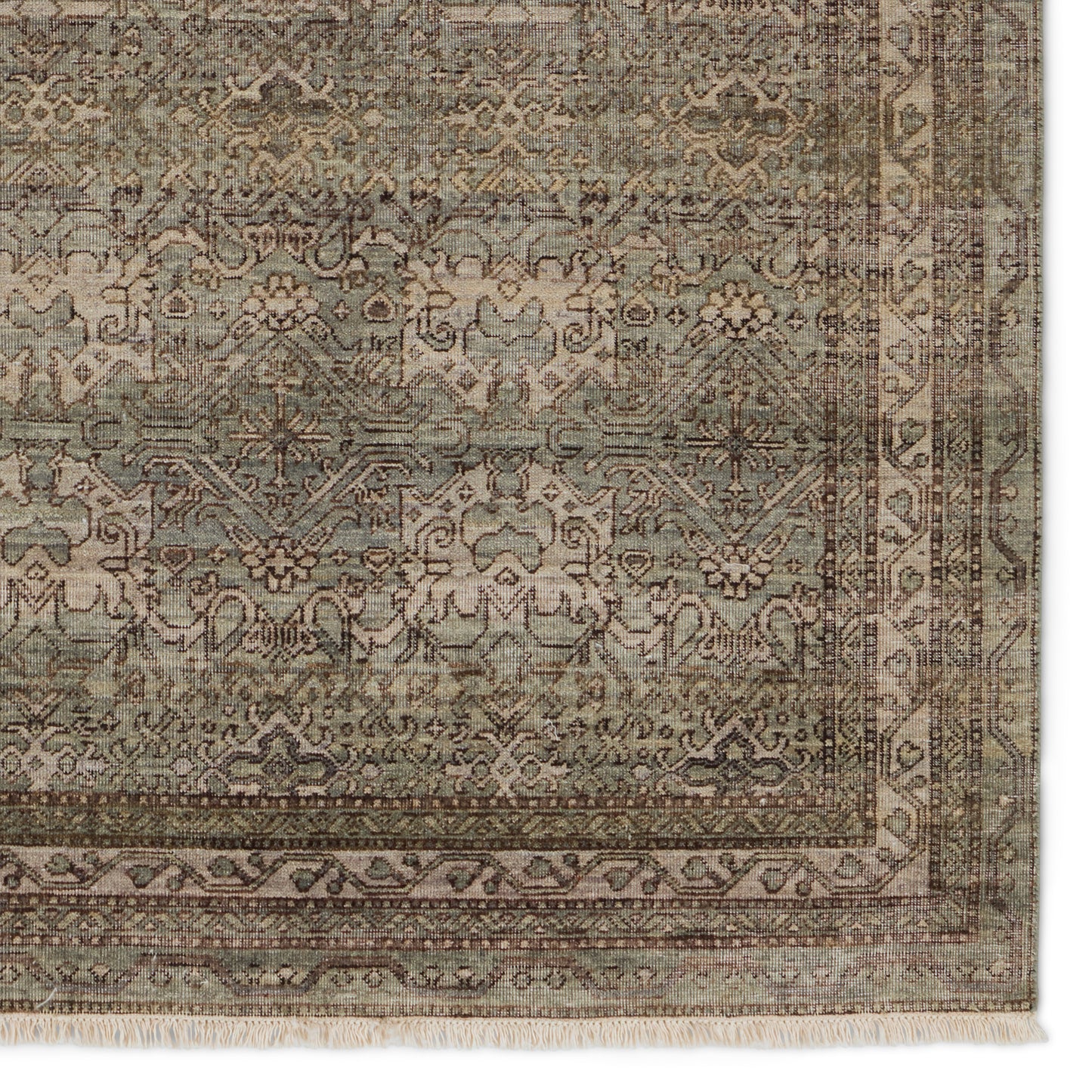 Rosita Trellis Brown/ Green Area Rug